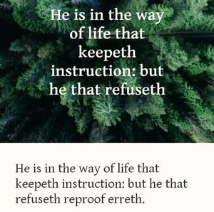 Meet your Posher, Judy